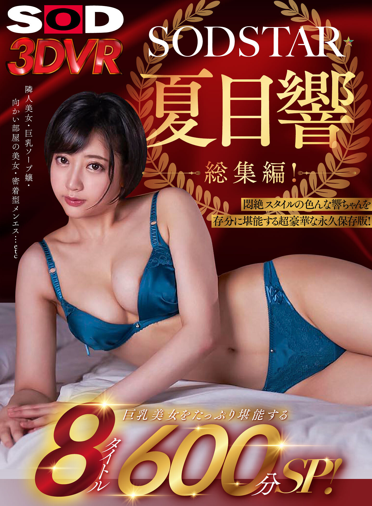 【VR】SOD 3DVR 夏目響 総集編！8タイトル600分SP！悶絶スタイルの色んな響ちゃんを存分に堪能する超豪華な永久保存版！
