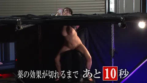 作品ピックアップ